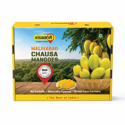 Malihabad Chausa Mango Bulk