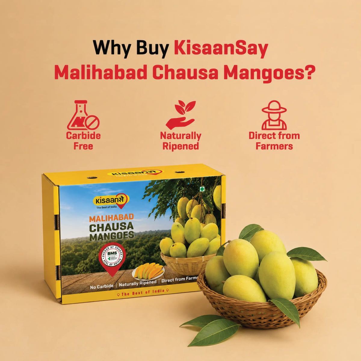 Malihabad Chausa Mango Bulk
