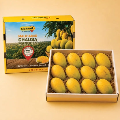 Malihabad Chausa Mango Bulk
